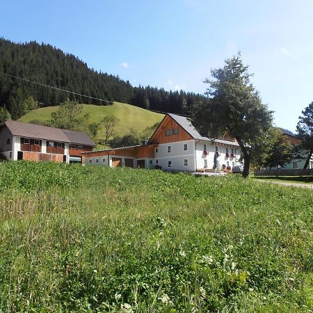 Willa Huberbauer Johnsbach Zewnętrze zdjęcie